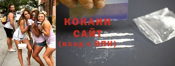 ГАЛЛЮЦИНОГЕННЫЕ ГРИБЫ Рославль