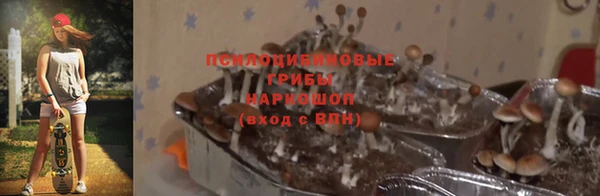 mix Краснослободск