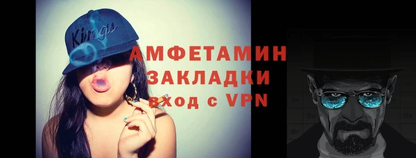 гидра Кулебаки