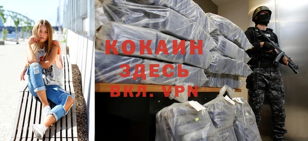 гидра Кулебаки