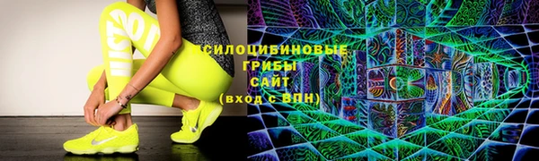PSILOCYBIN Ростов