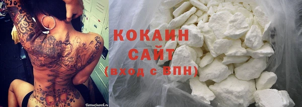 гидра Кулебаки