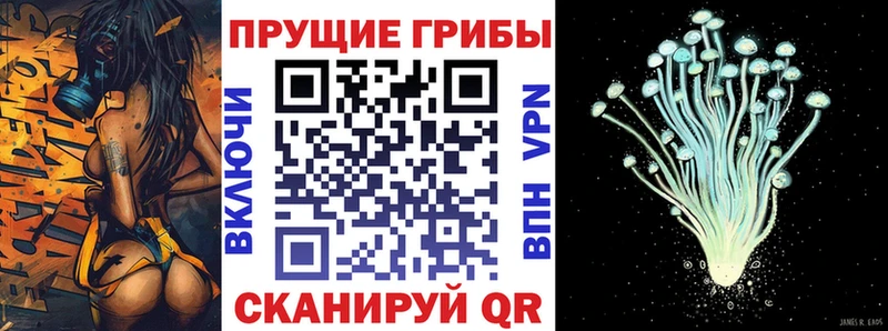 даркнет сайт  blacksprut ссылки  Псилоцибиновые грибы мухоморы  Спасск 
